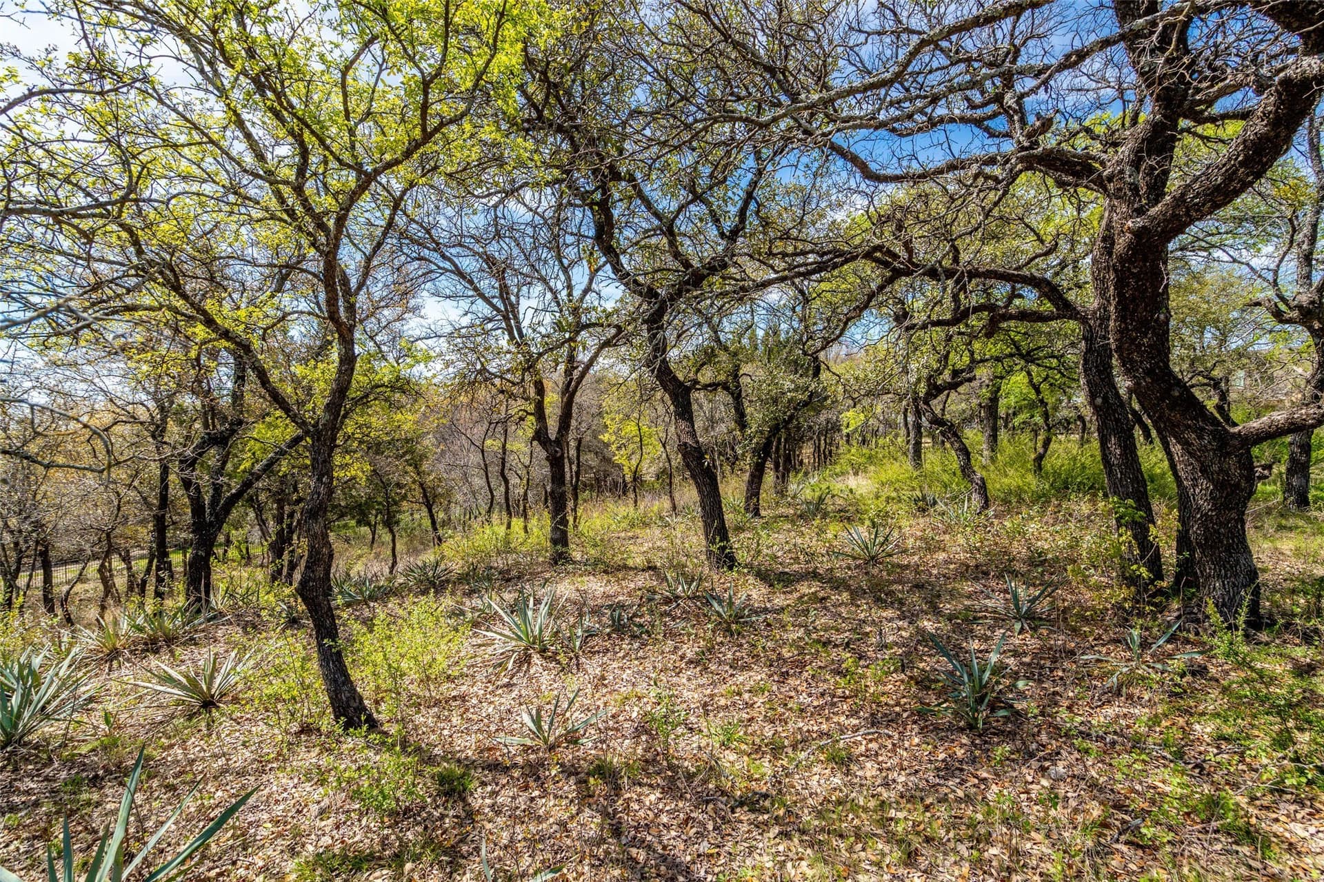 1.31 acres in Tarrant County - photo 8