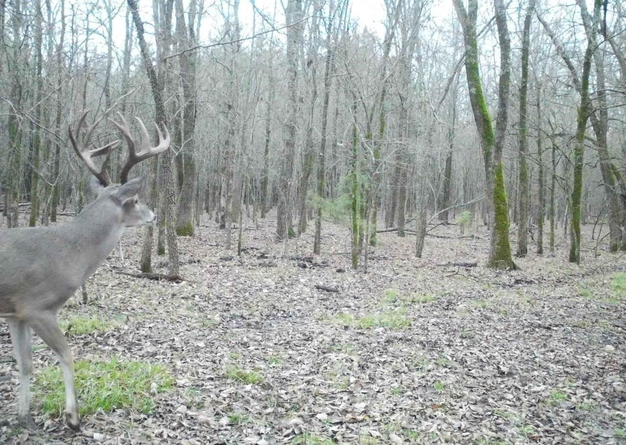 56.27 acres in Lamar County featured view