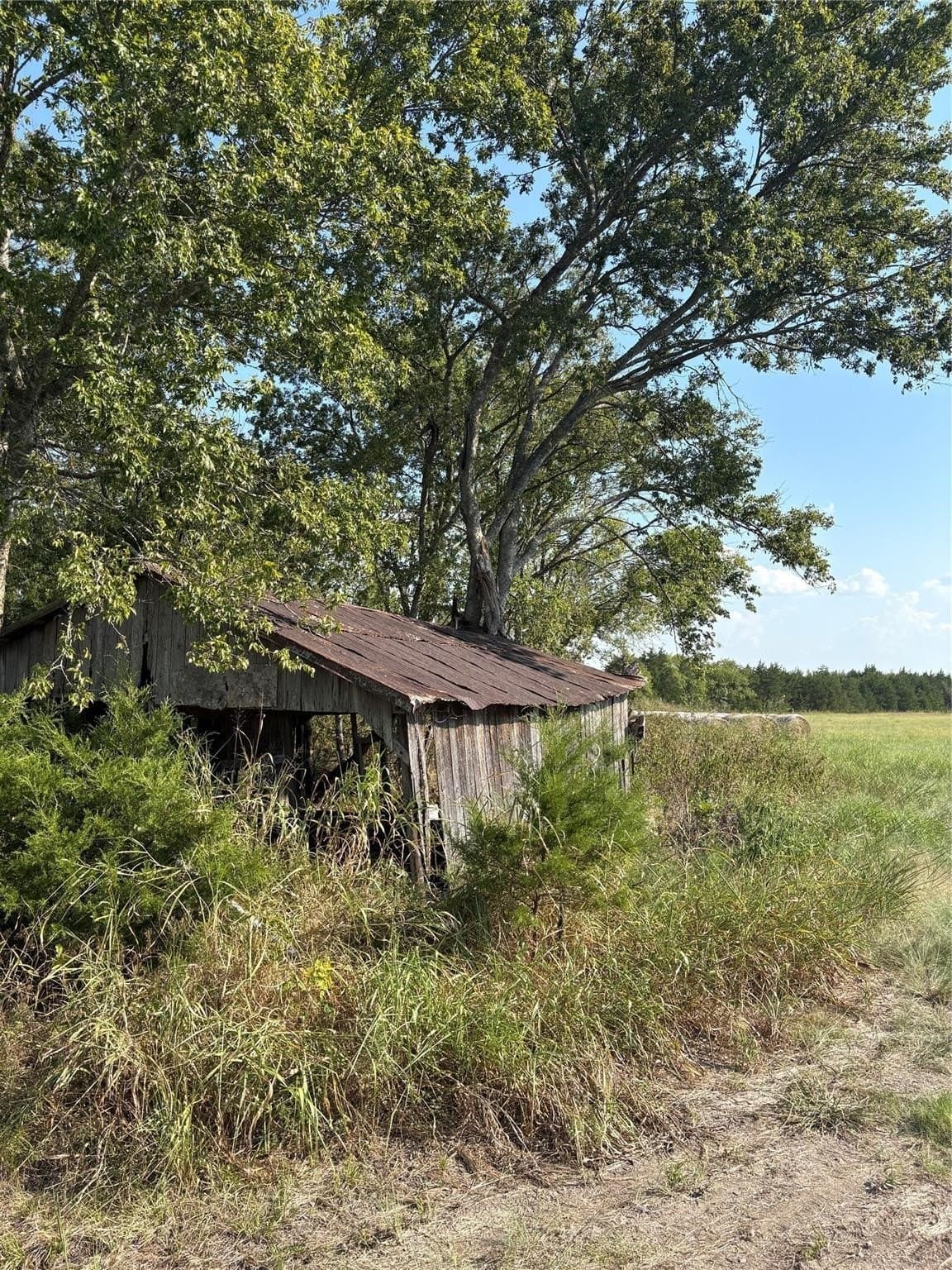 56.27 acres in Lamar County gallery image 2