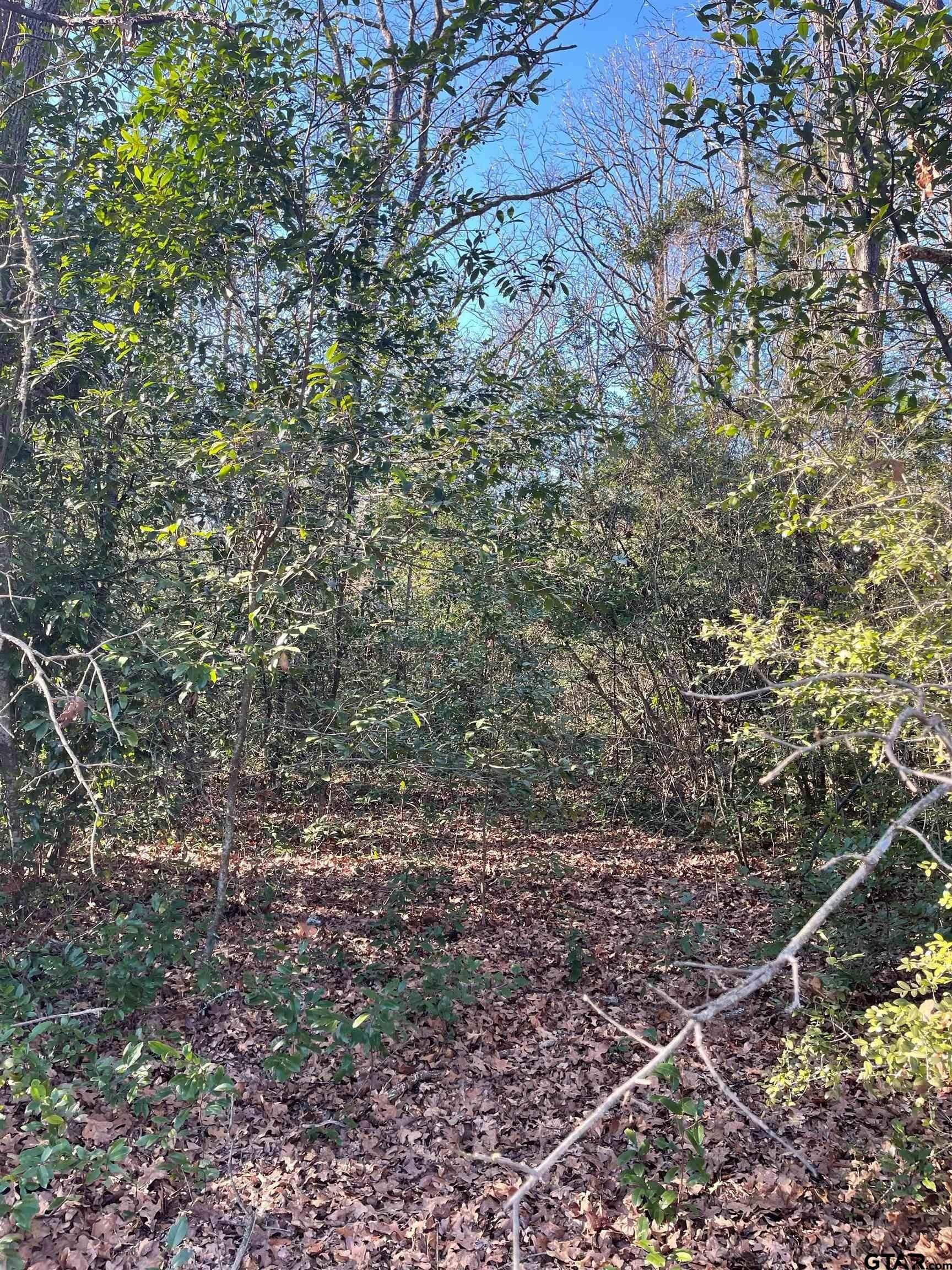 0.16 acres in Wood County gallery image 3