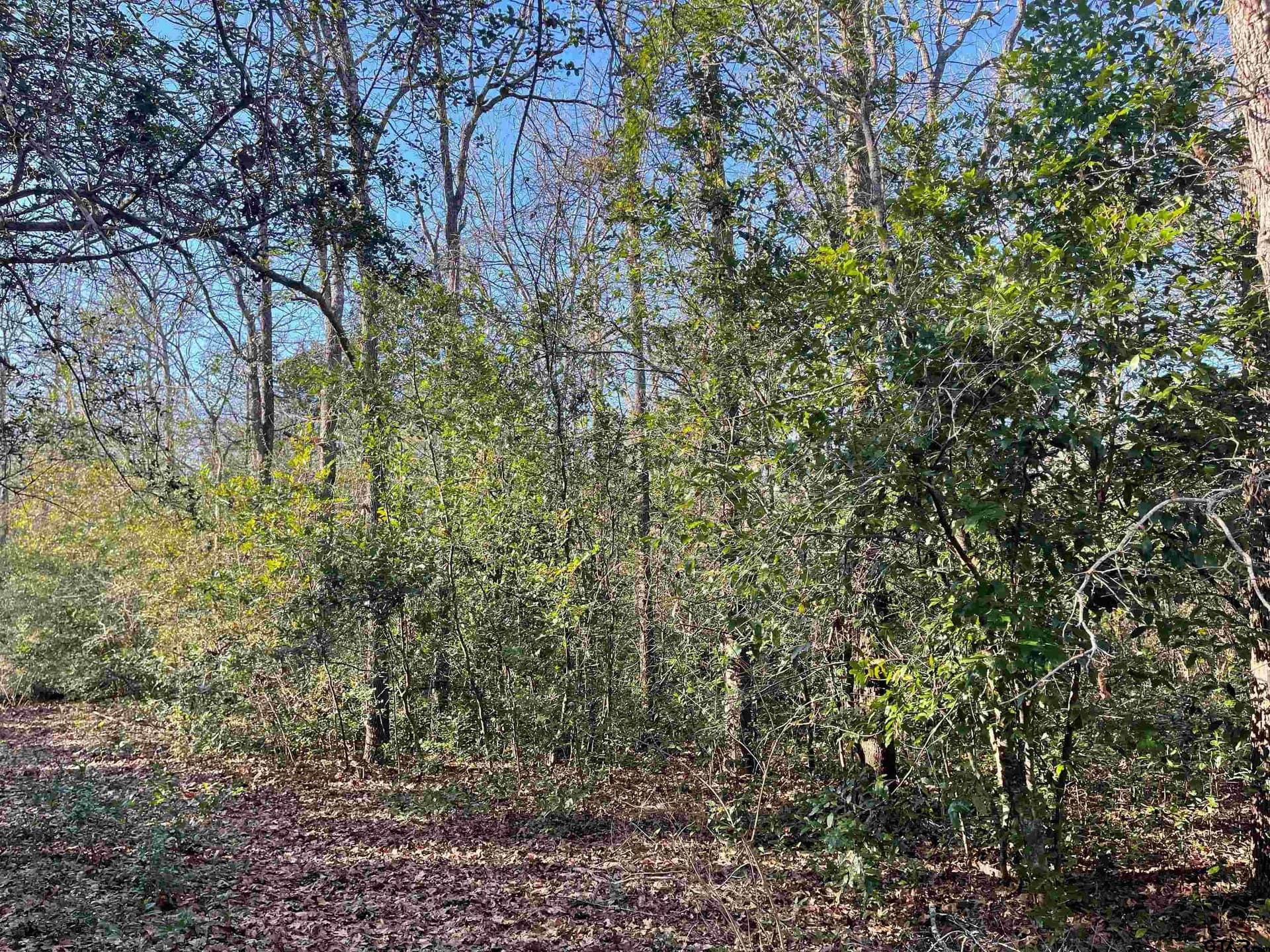 0.16 acres in Wood County featured view