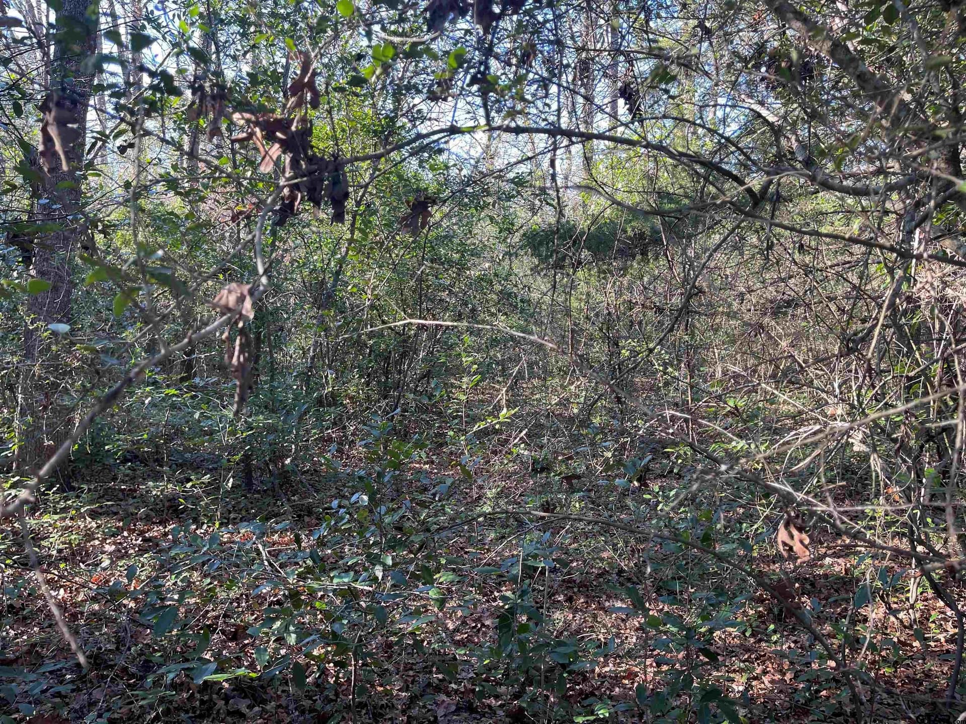 0.16 acres in Wood County