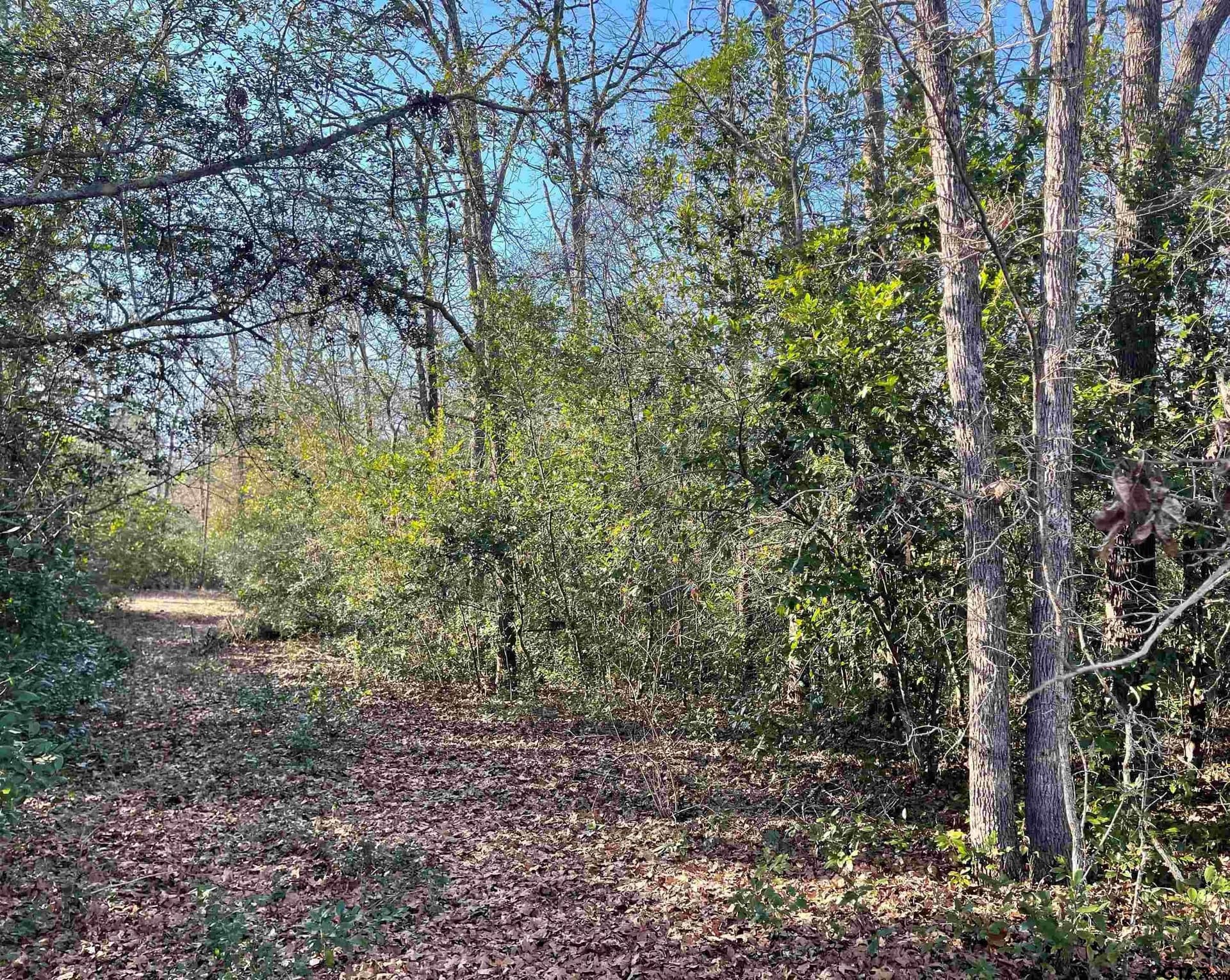 0.16 acres in Wood County gallery image 4