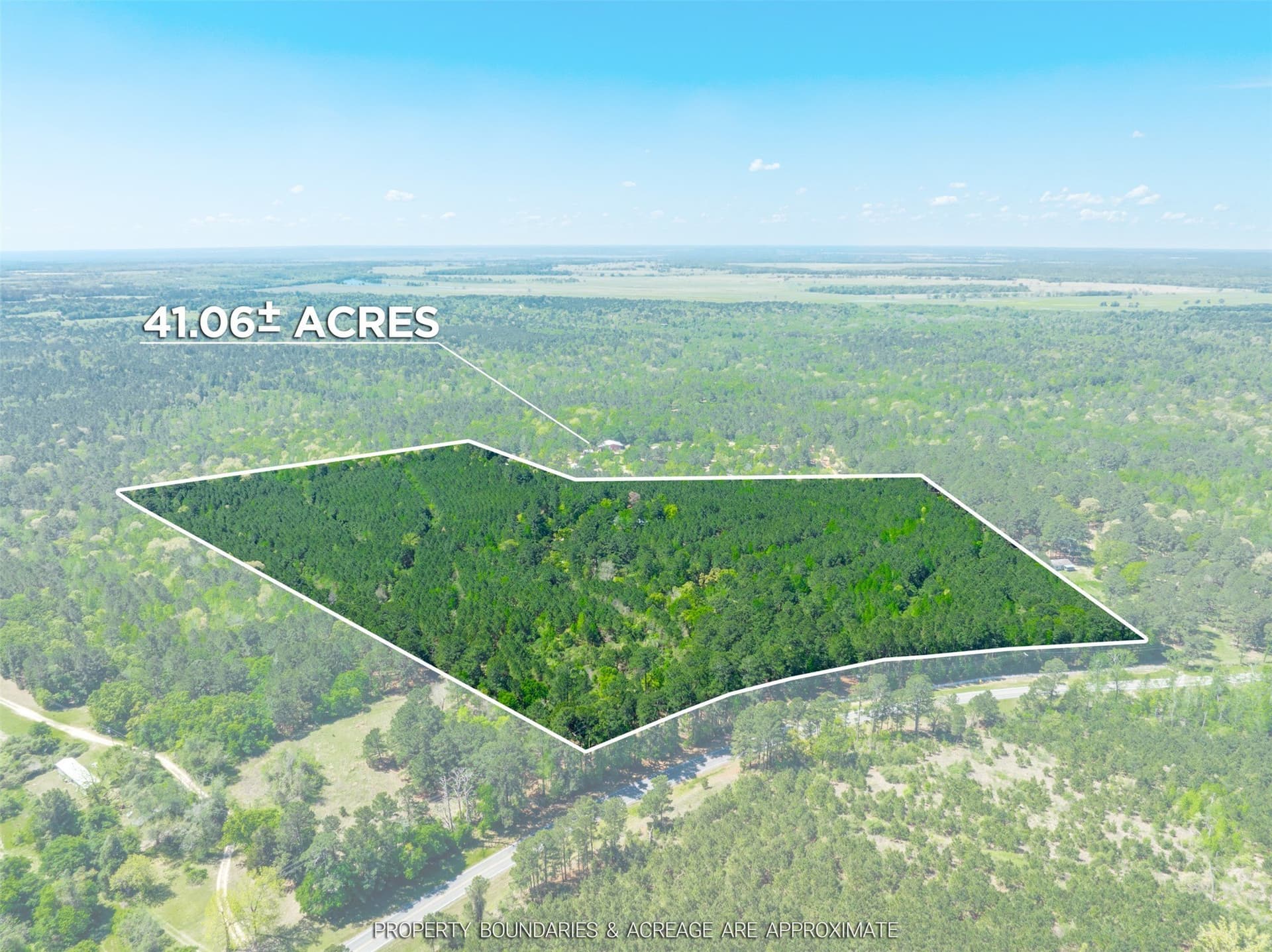 41.06 acres in Anderson County gallery image 2