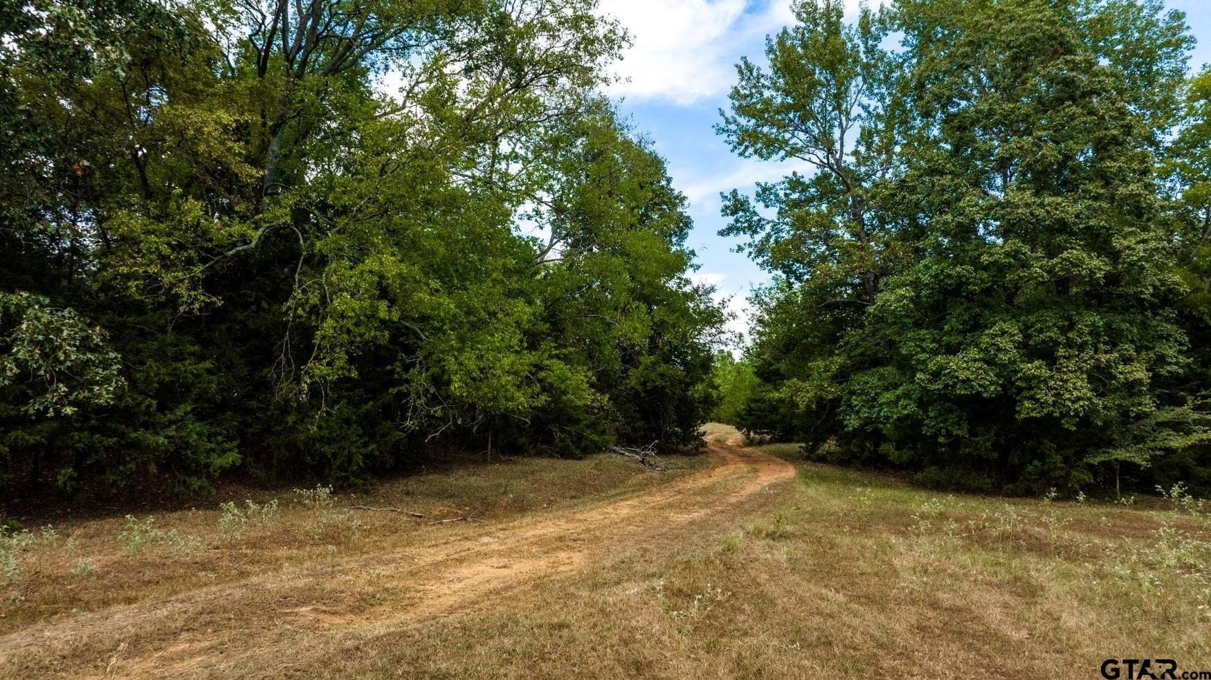 150 acres in Camp County - photo 10