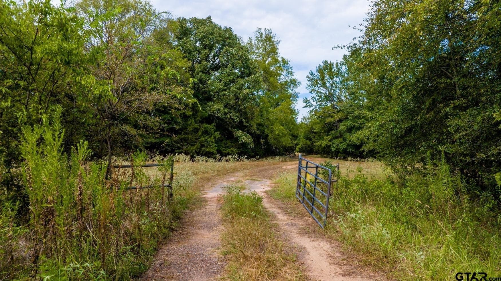 150 acres in Camp County - photo 11