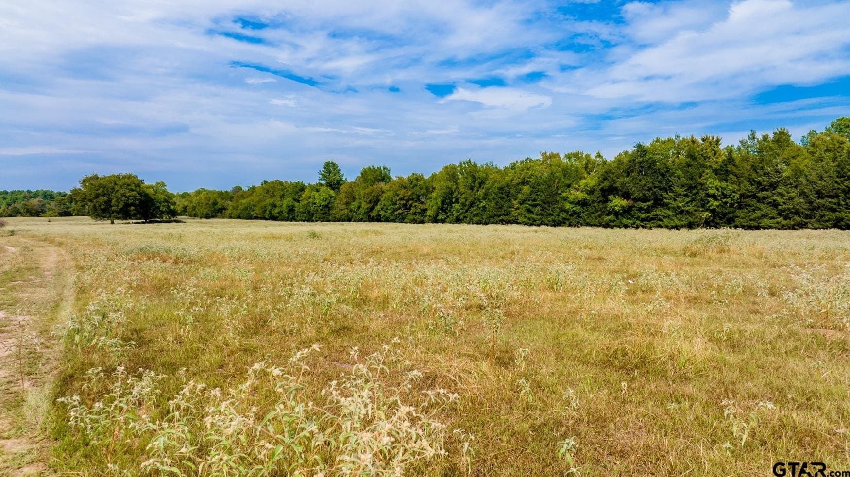 150 acres in Camp County - photo 9