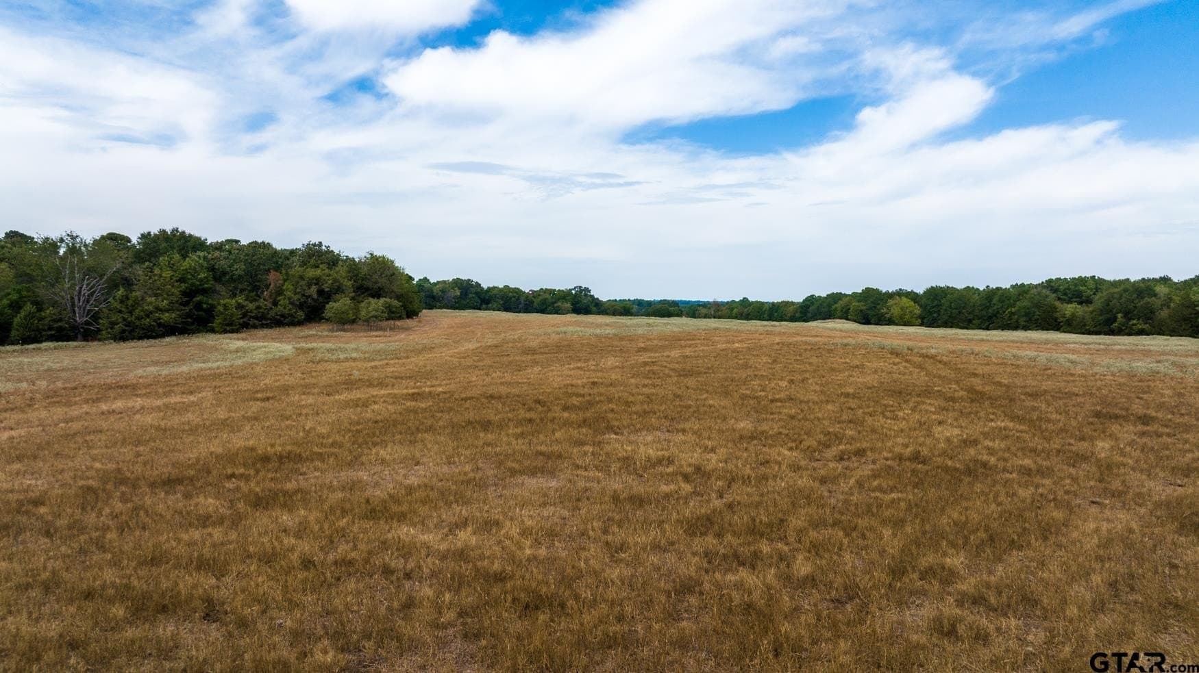 150 acres in Camp County - photo 8