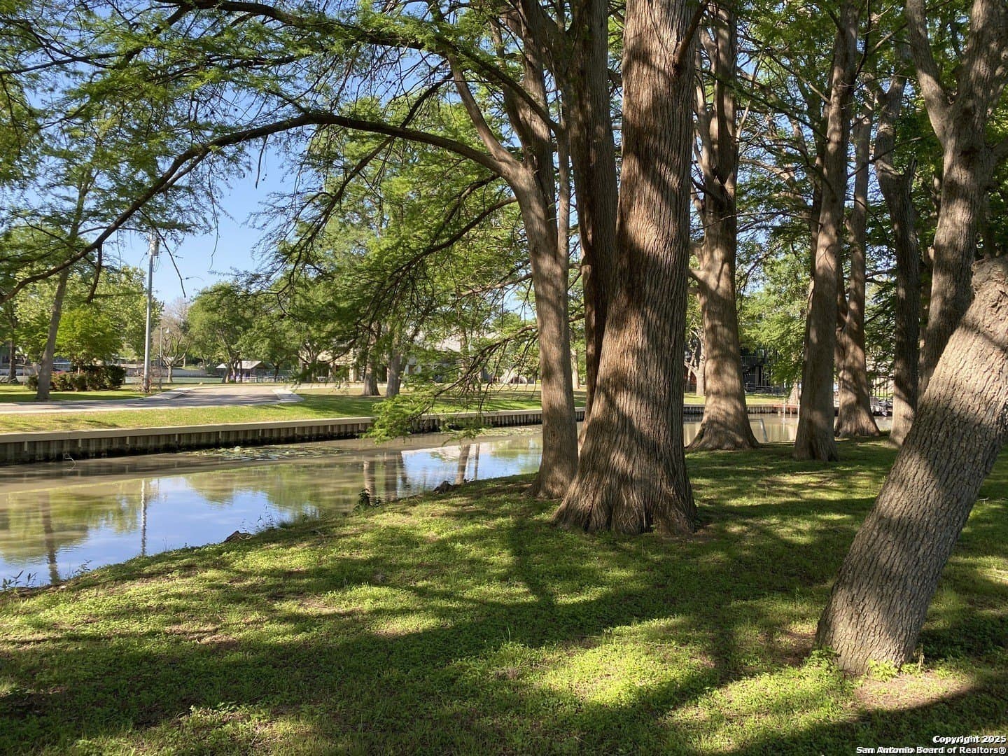 0.52 acres in Guadalupe County gallery image 3
