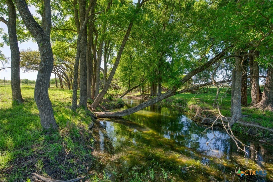 30.1 acres in Burnet County gallery image 3