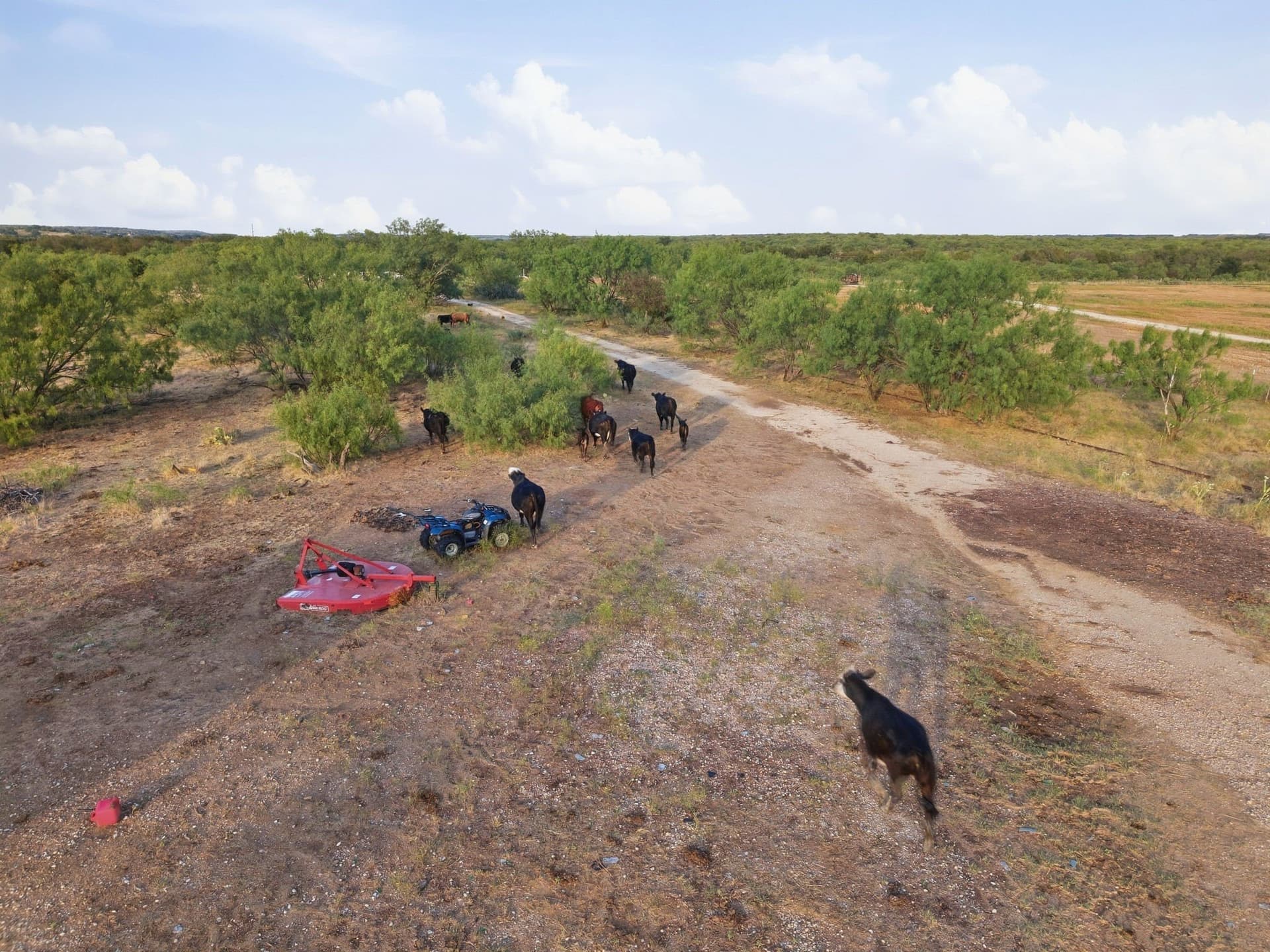 95 acres in Jack County - photo 18