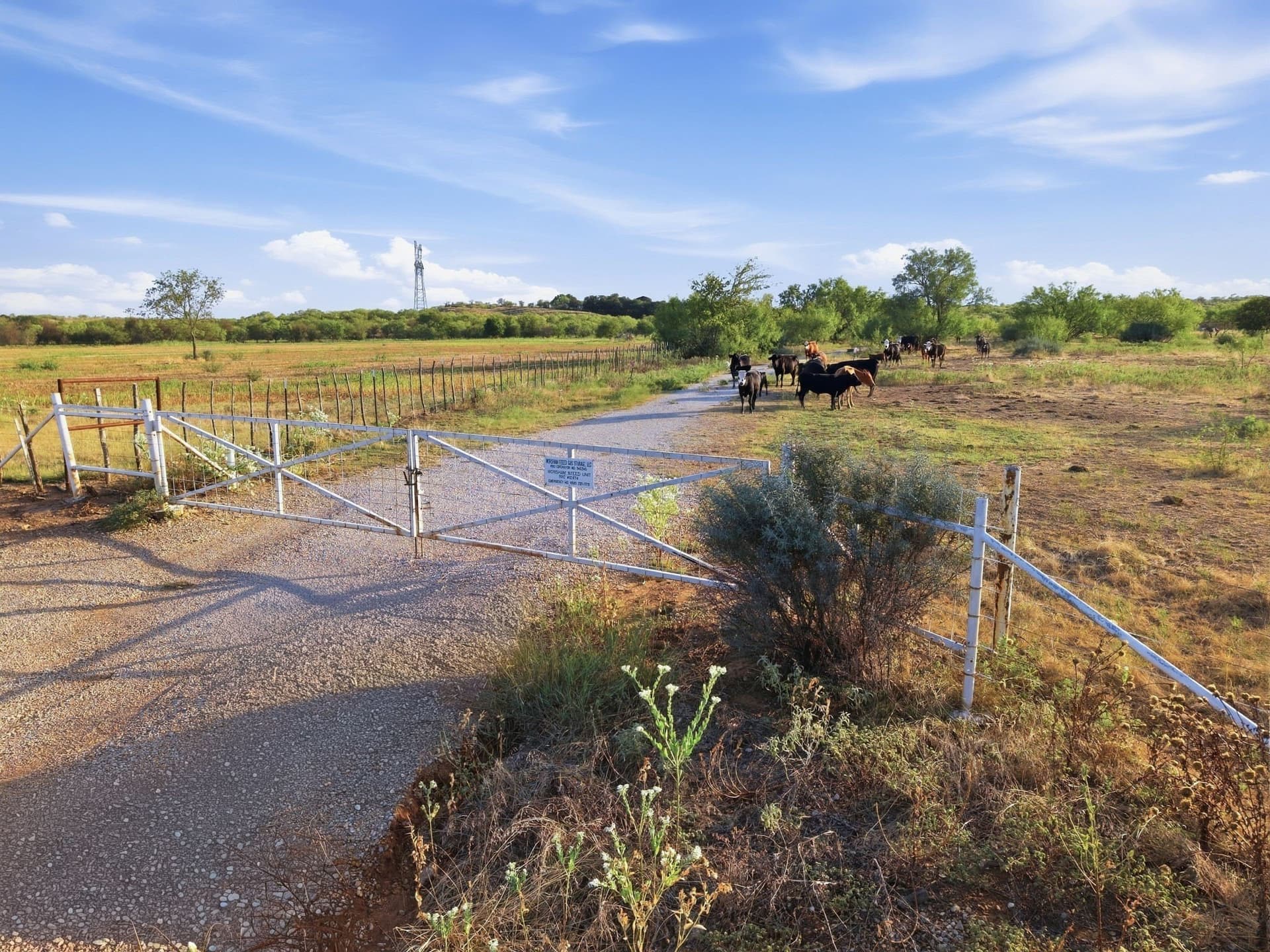95 acres in Jack County - photo 2