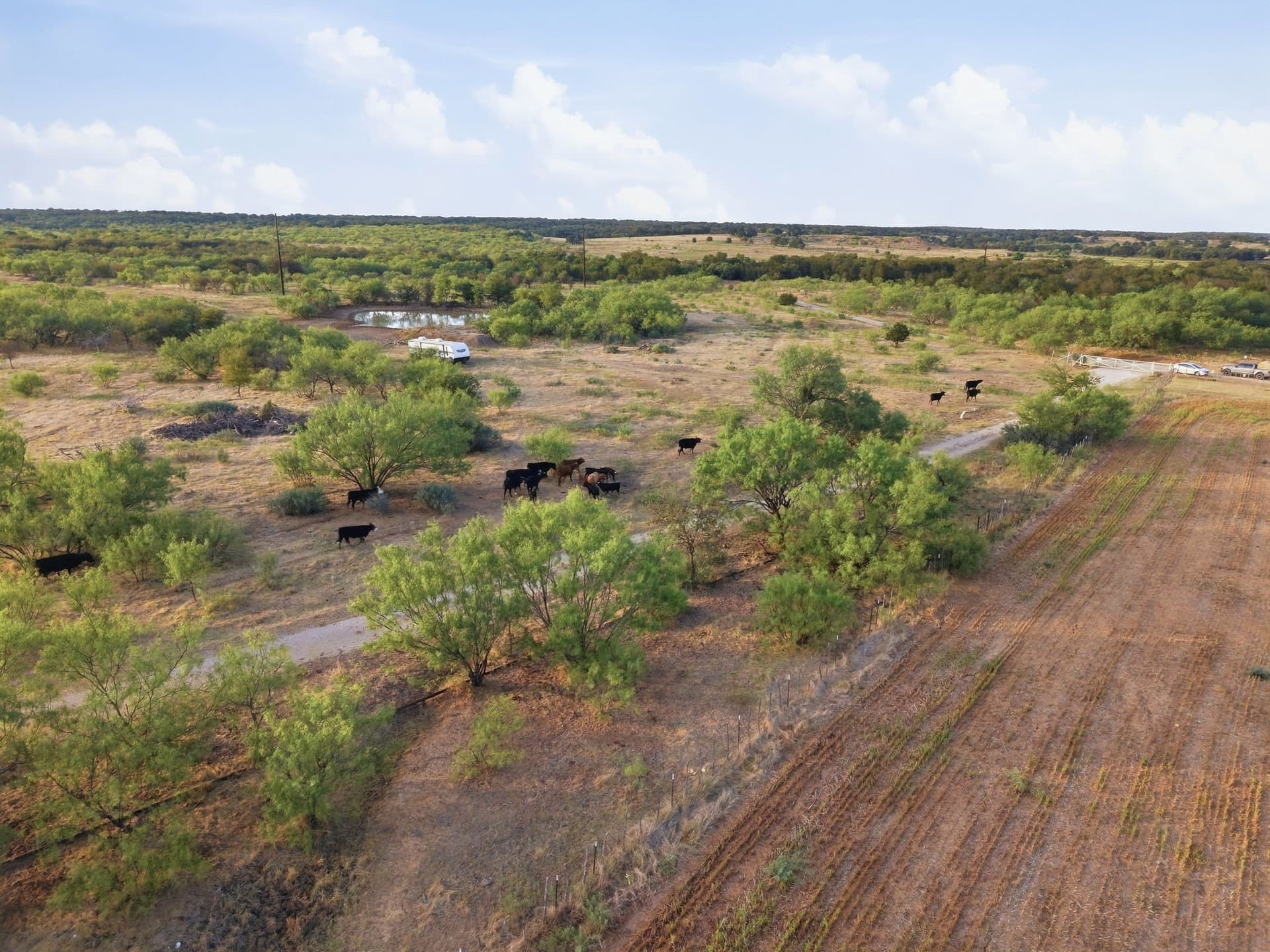 95 acres in Jack County - photo 19
