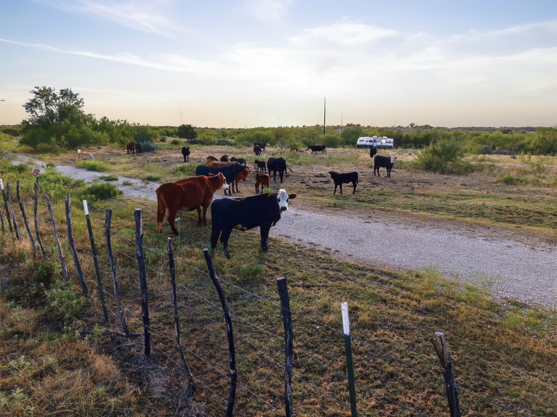 95 acres in Jack County - photo 15