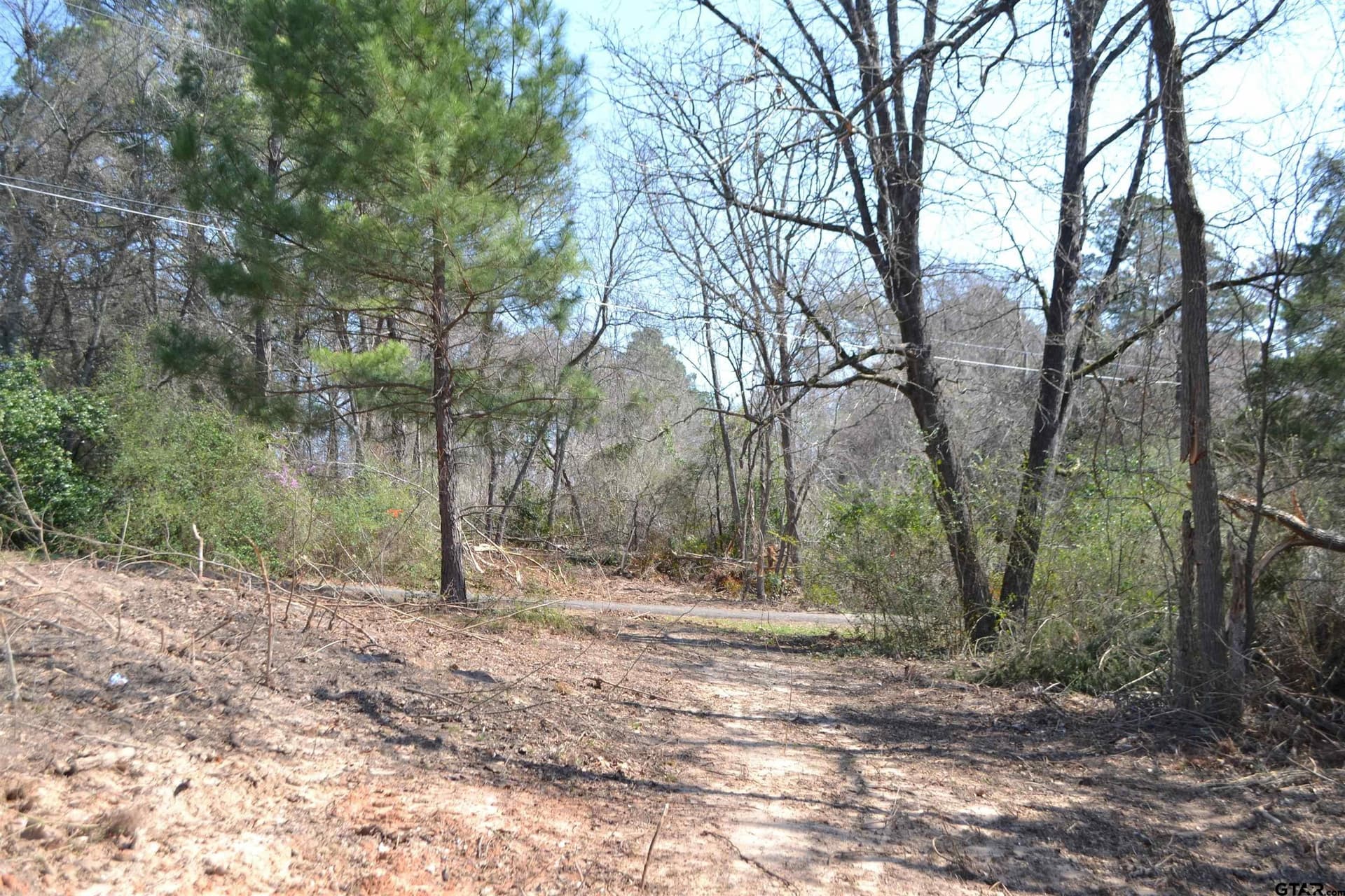0.47 acres in Wood County - photo 22