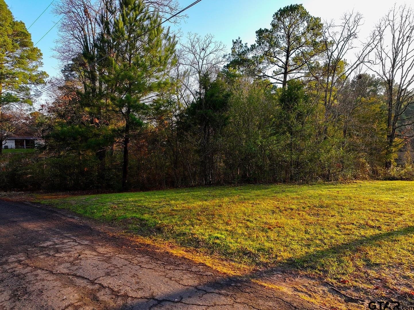 0.47 acres in Wood County - photo 29