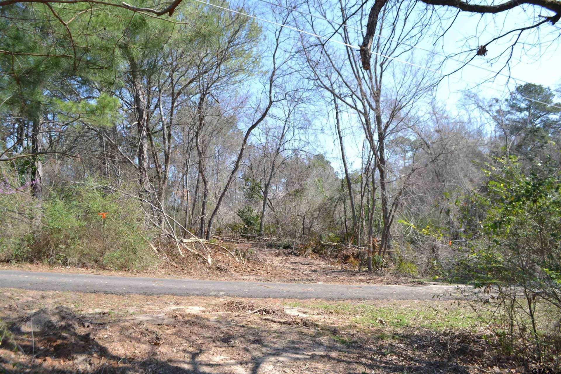 0.47 acres in Wood County - photo 18