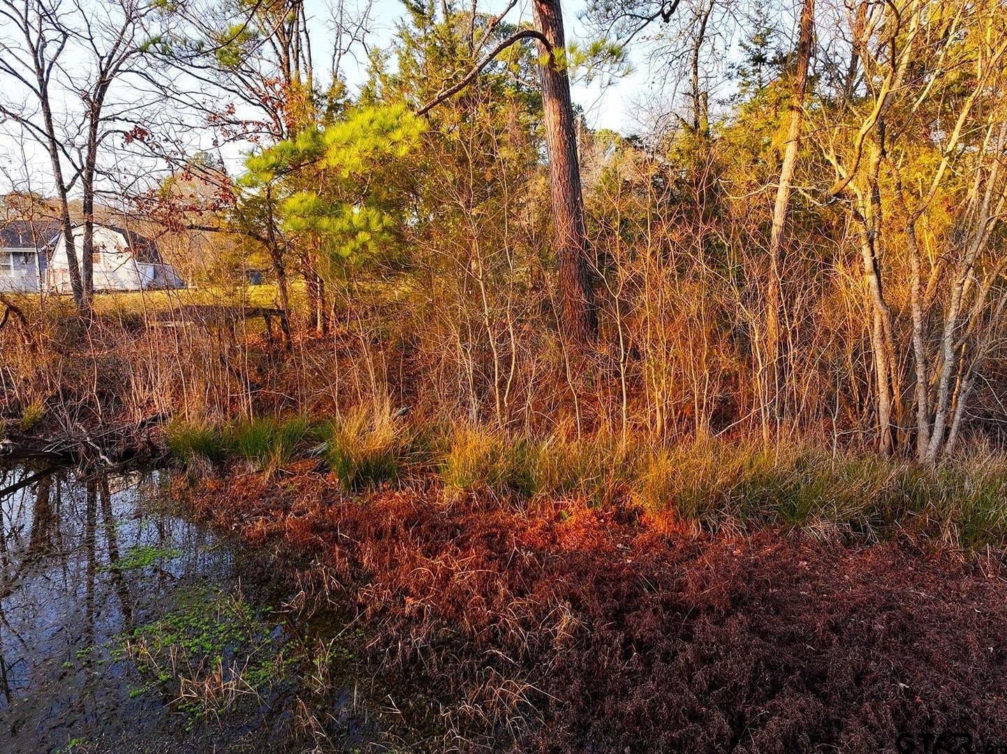 0.47 acres in Wood County - photo 19