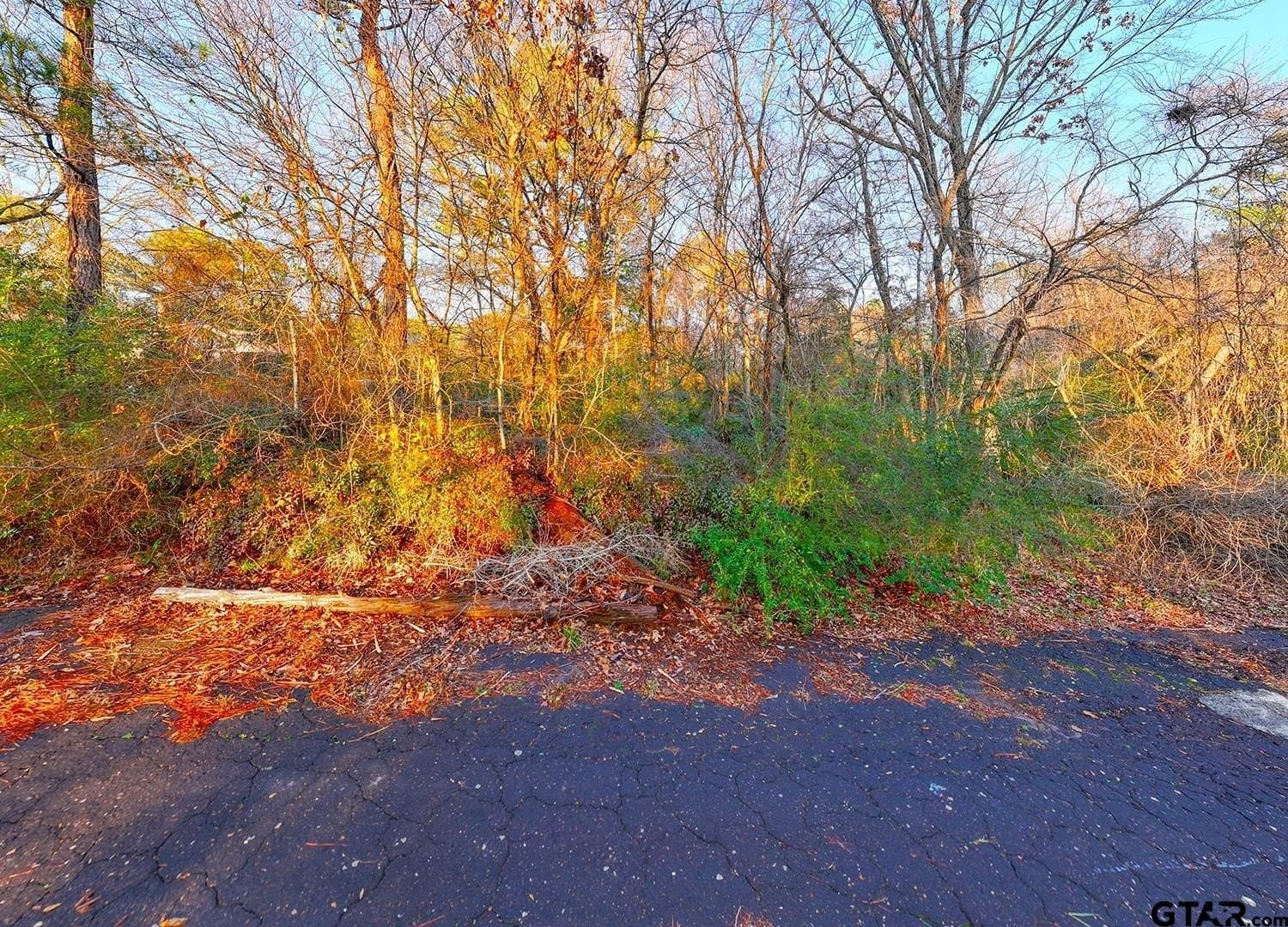 0.47 acres in Wood County - photo 15