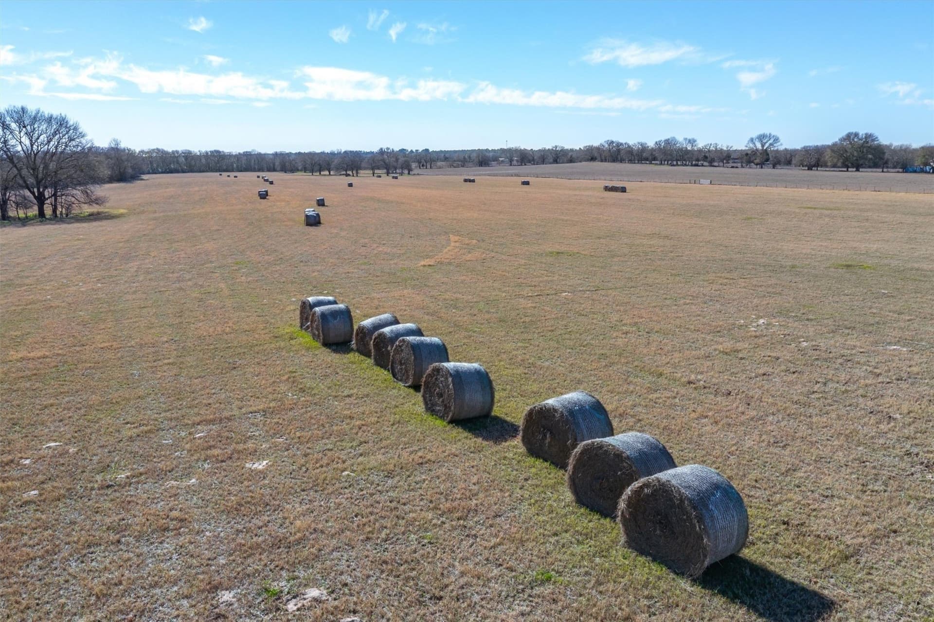 97.27 acres in Henderson County - photo 35