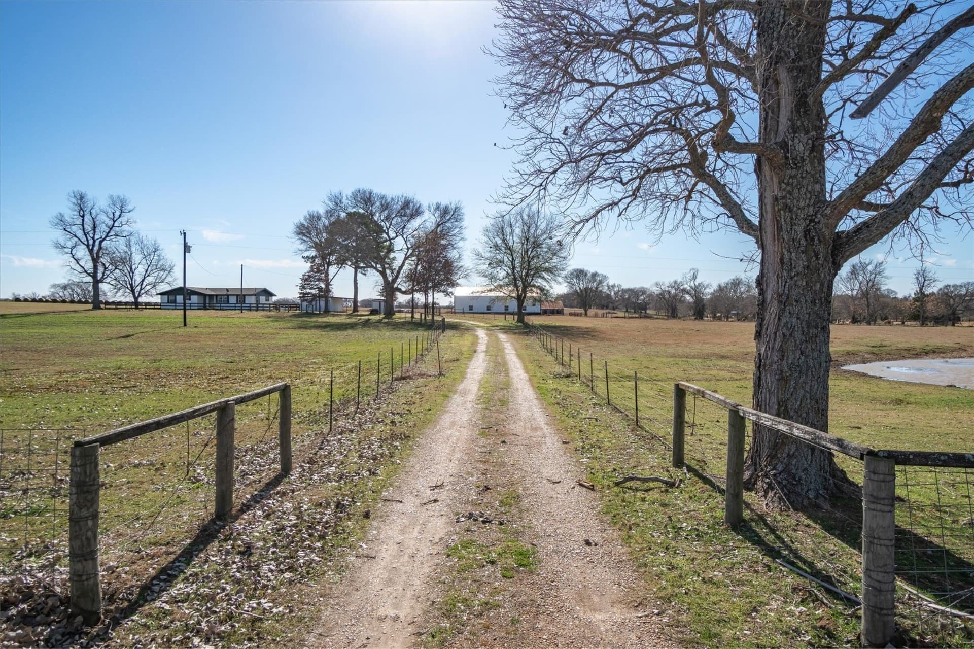 97.27 acres in Henderson County - photo 5