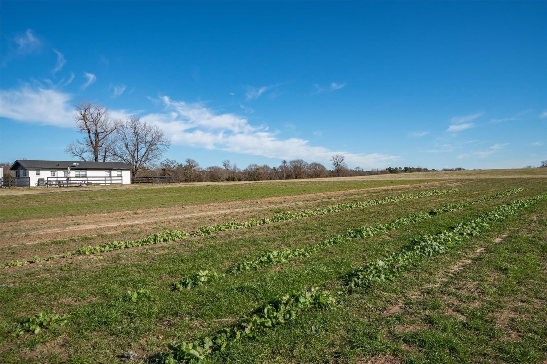 97.27 acres in Henderson County - photo 38