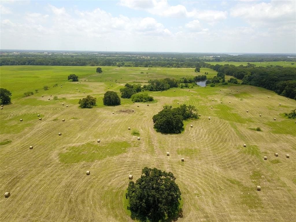 43.29 acres in Henderson County featured view