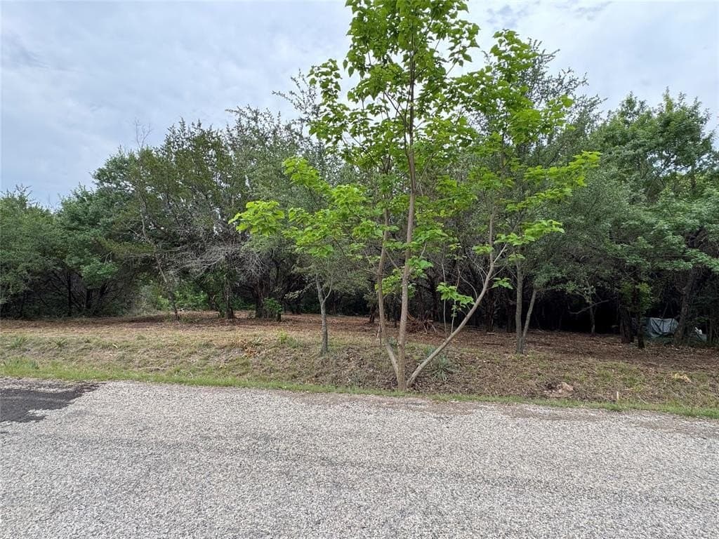 0.08 acres in Hood County gallery image 4