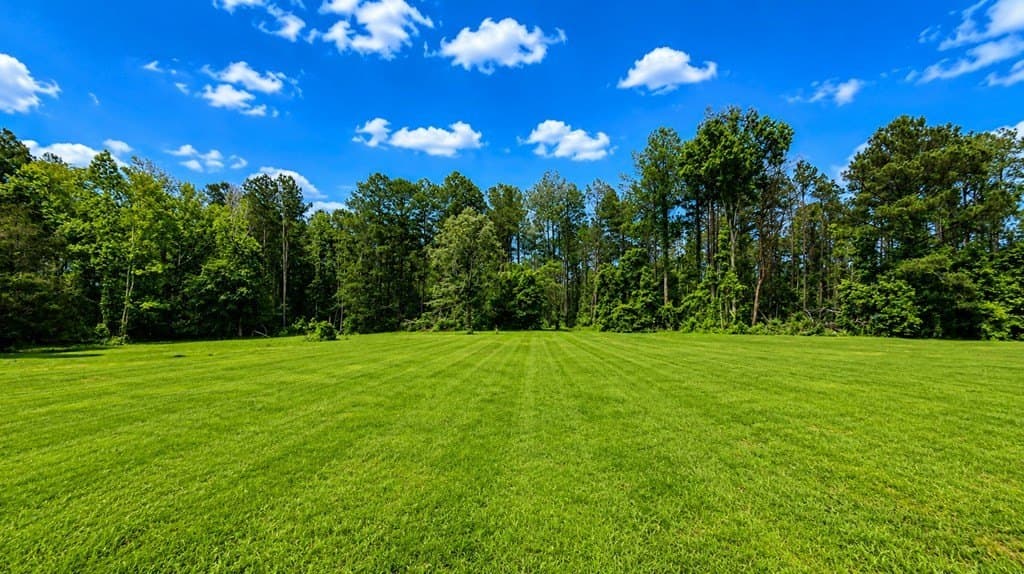 20 acres in Texas County - photo 8