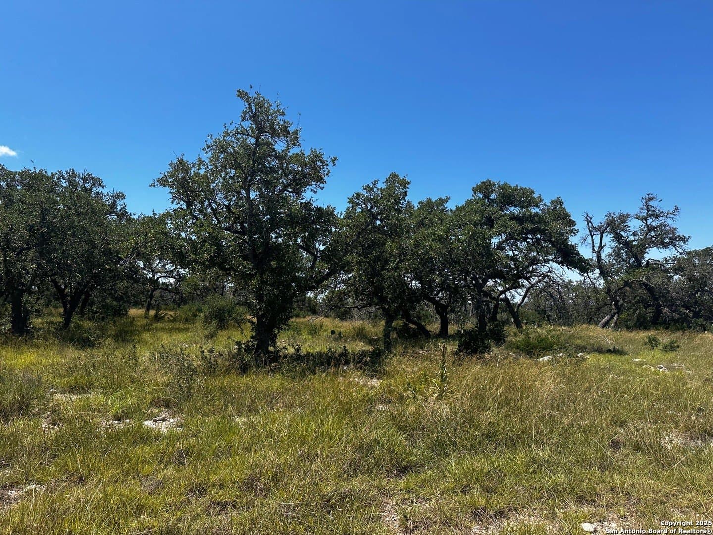5.16 acres in Gillespie County gallery image 3