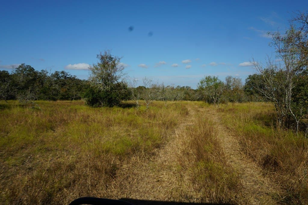 73.3 acres in Texas County gallery image 4
