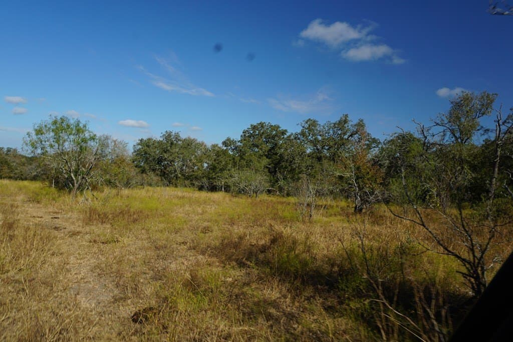 73.3 acres in Texas County featured view