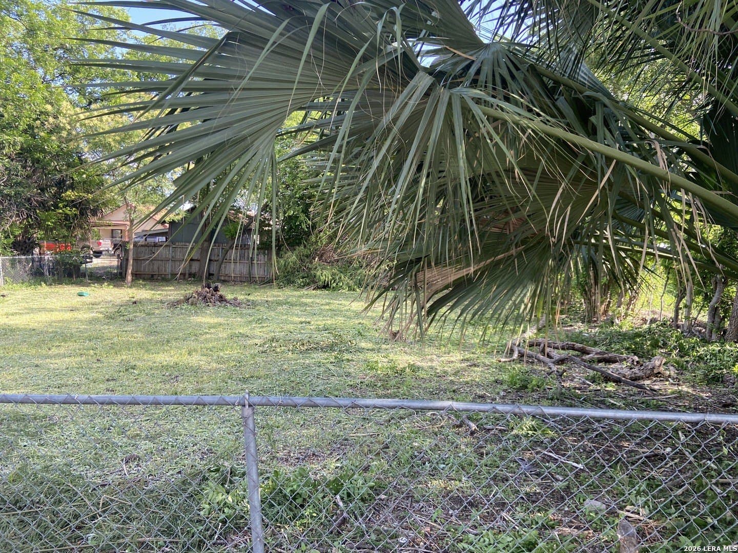 0.06 acres in Bexar County gallery image 4
