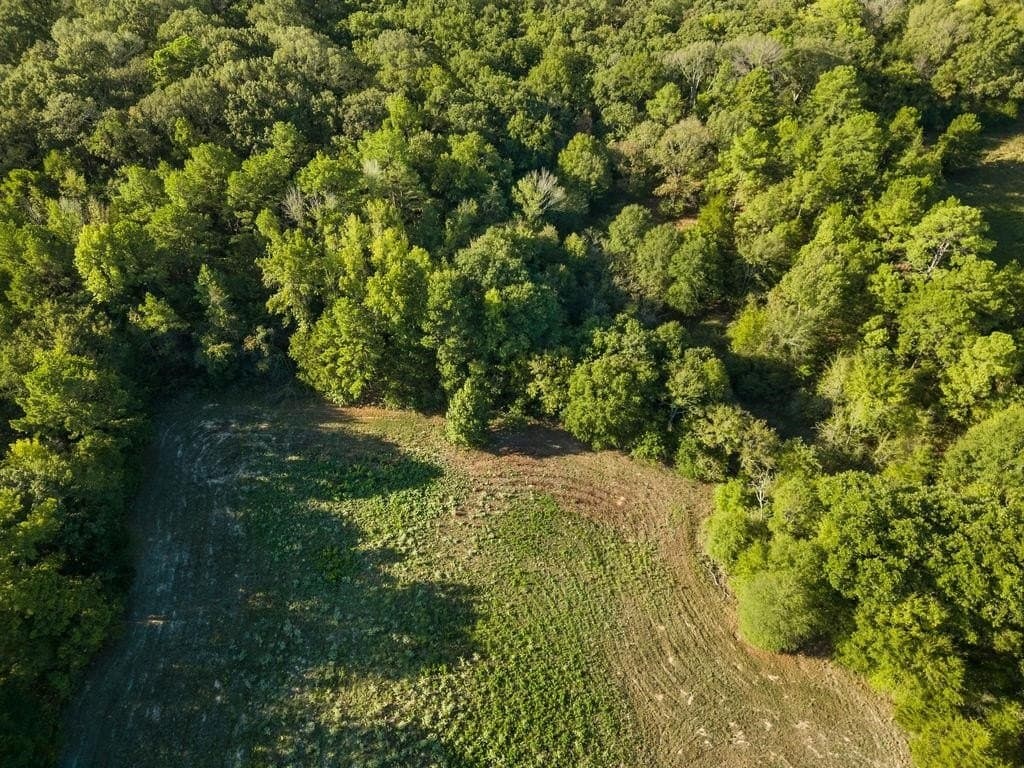 6 acres in Texas County - photo 7