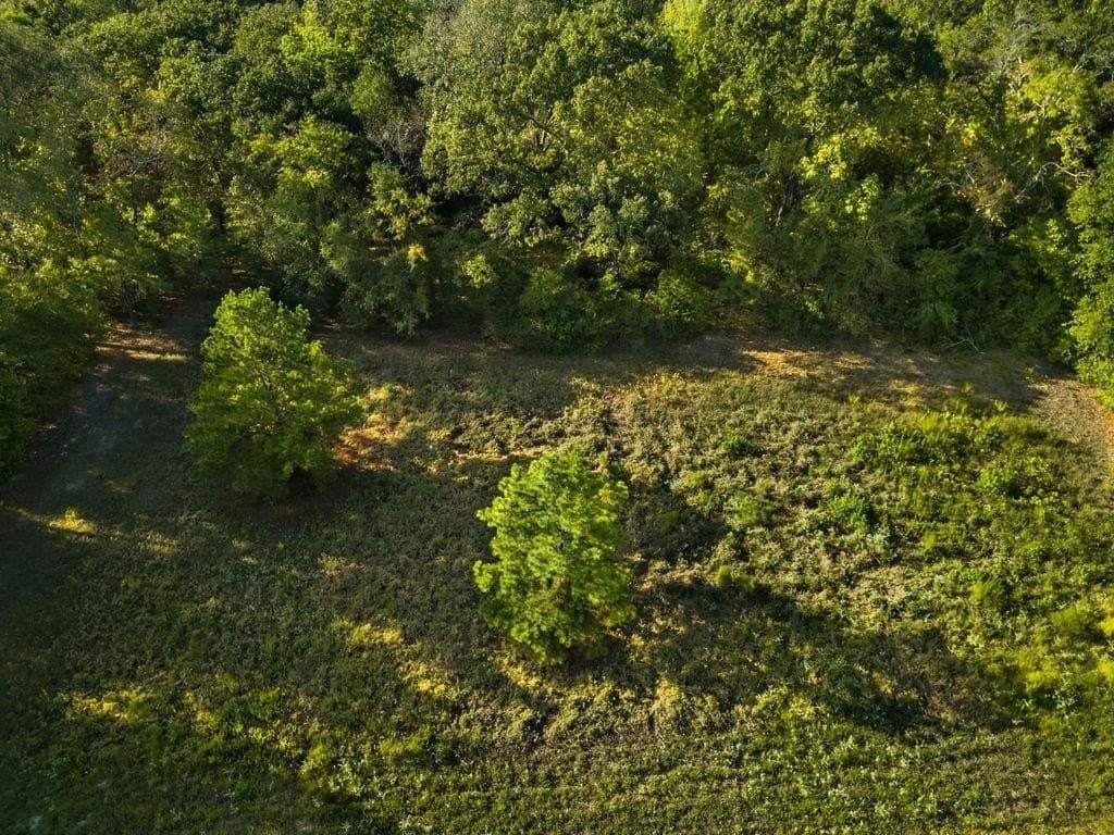 6 acres in Texas County - photo 9