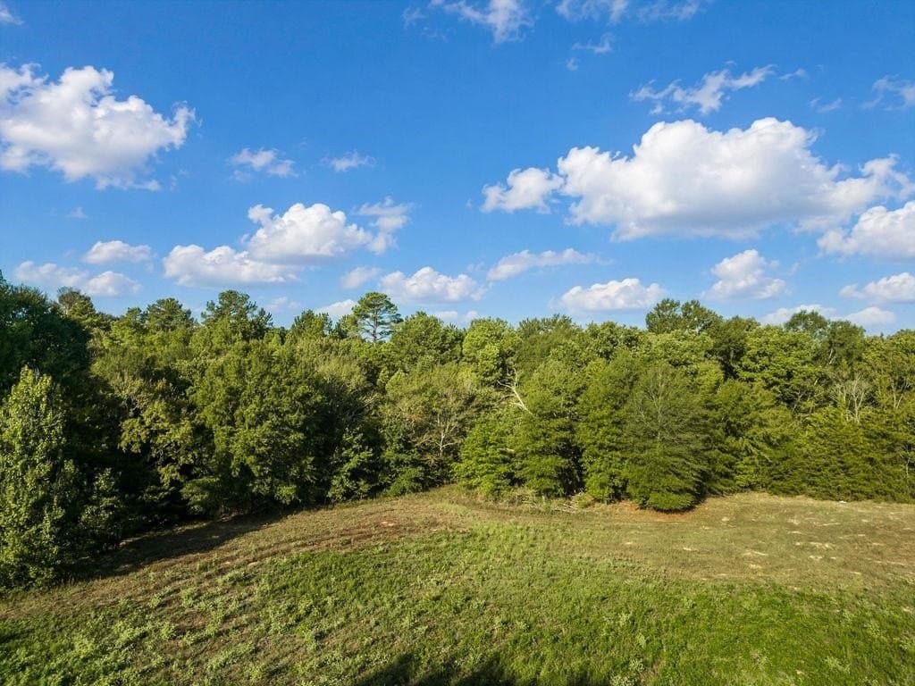 6 acres in Texas County - photo 4