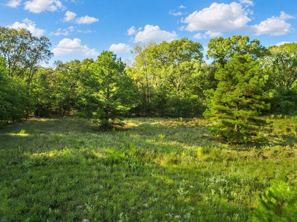 6 acres in Texas County - photo 5
