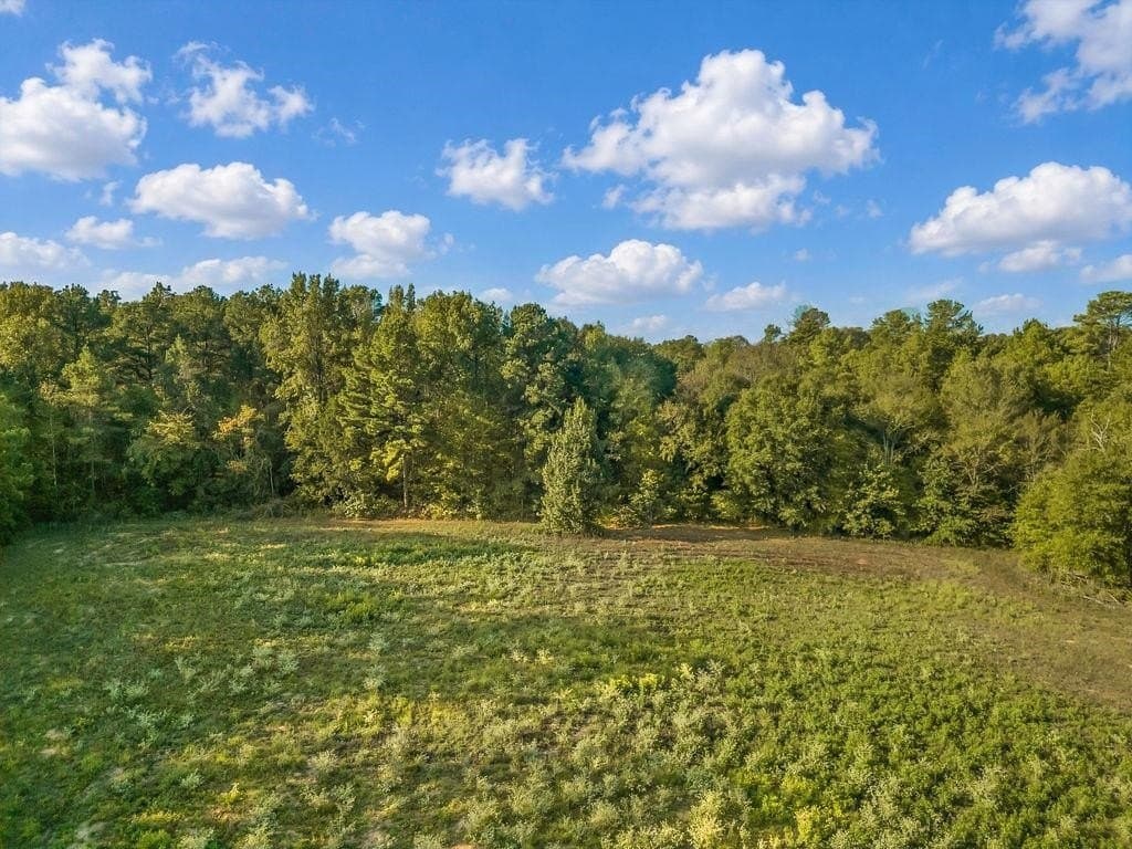 6 acres in Texas County - photo 3
