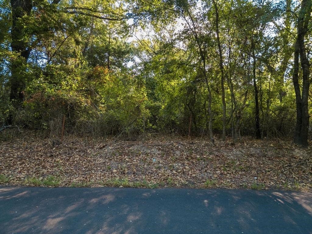 6 acres in Texas County - photo 11