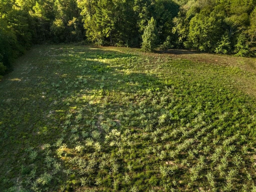 6 acres in Texas County - photo 8
