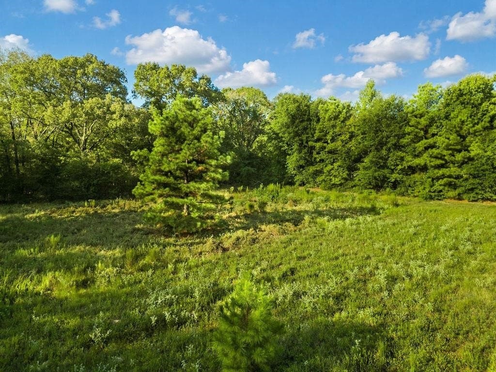 6 acres in Texas County - photo 6