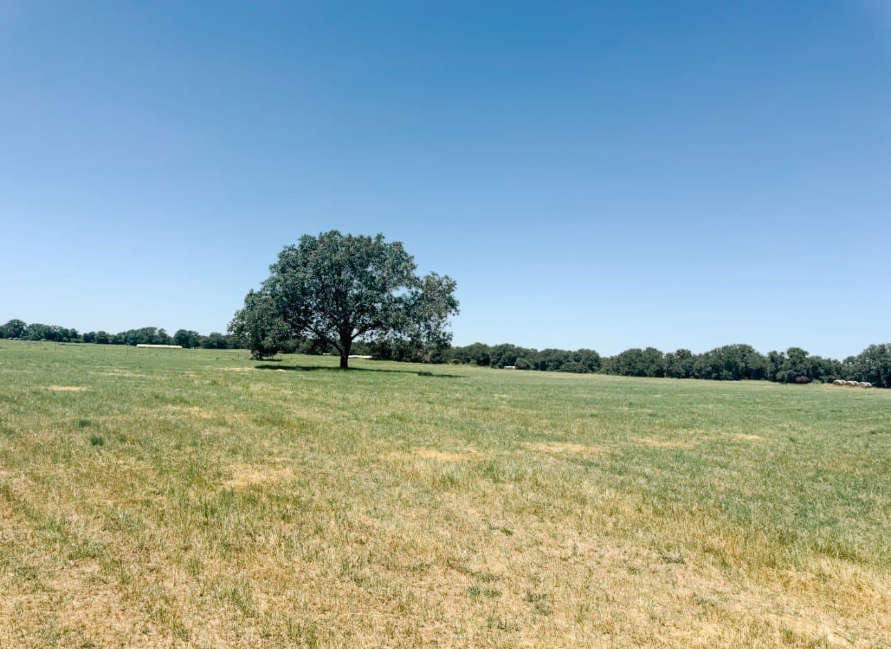 77.82 acres in Eastland County - photo 40