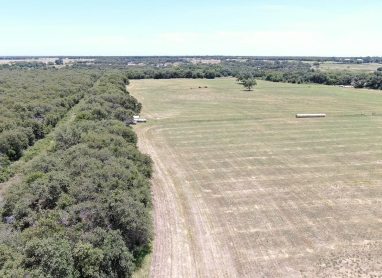 77.82 acres in Eastland County - photo 4