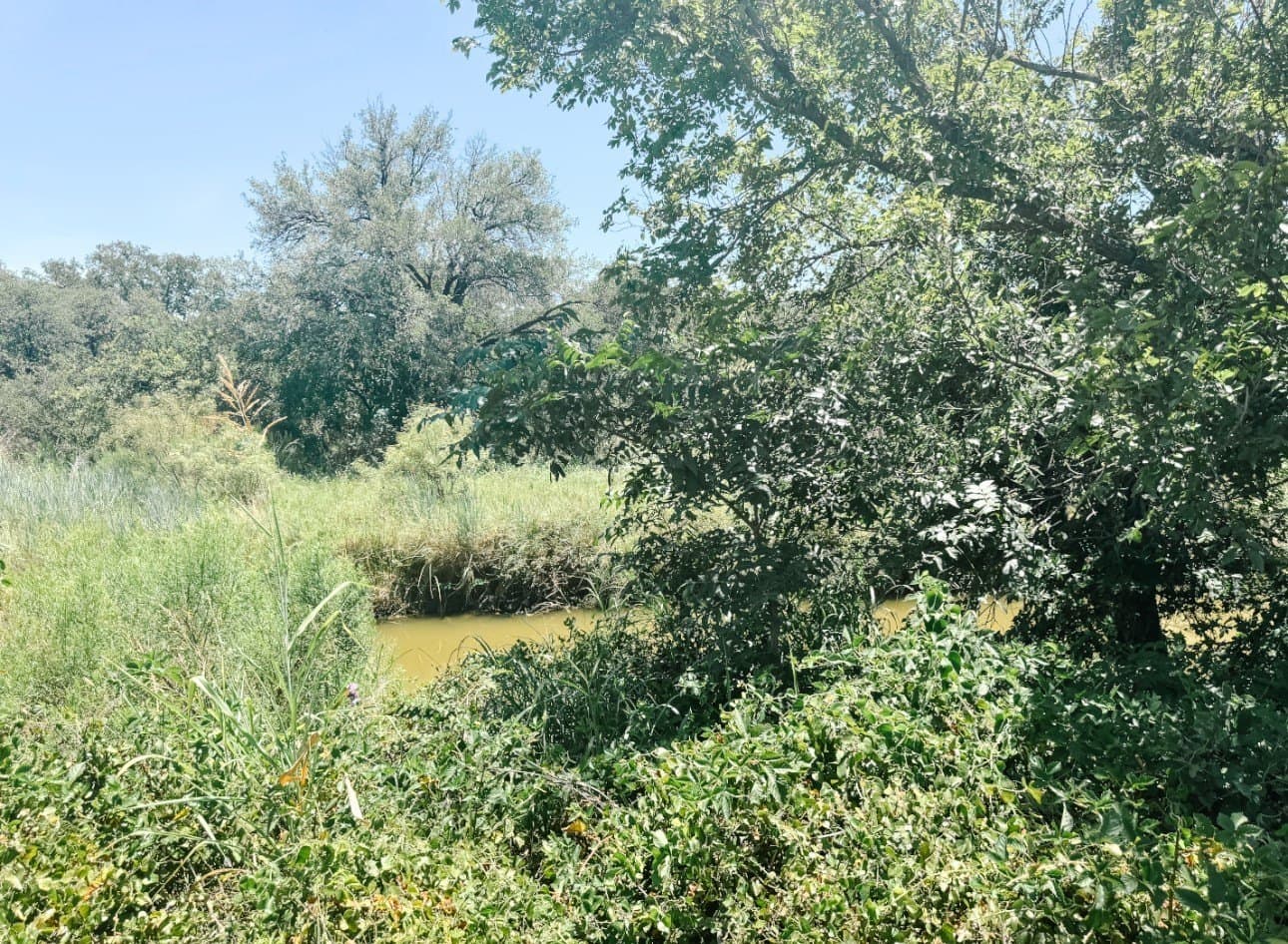 77.82 acres in Eastland County - photo 31