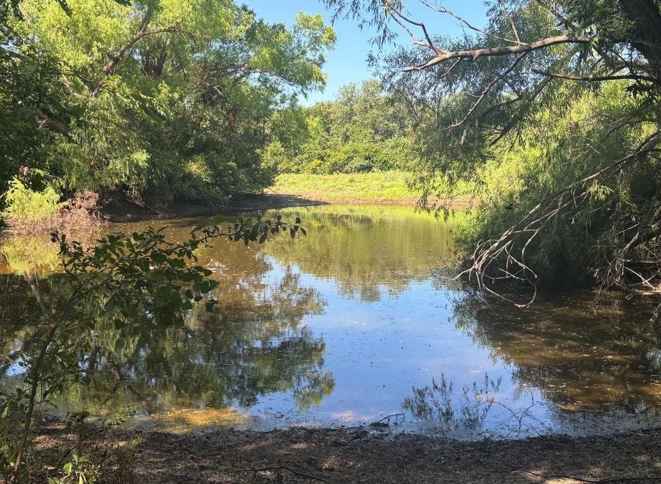77.82 acres in Eastland County - photo 23
