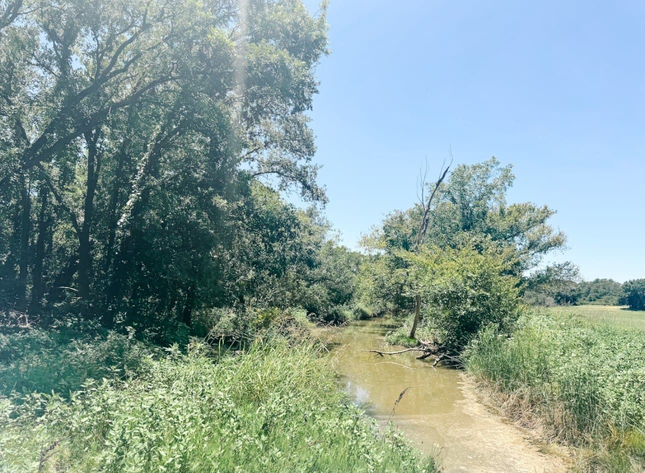 77.82 acres in Eastland County - photo 28