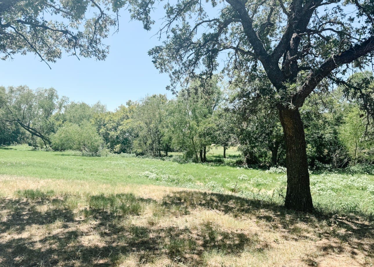 77.82 acres in Eastland County - photo 38