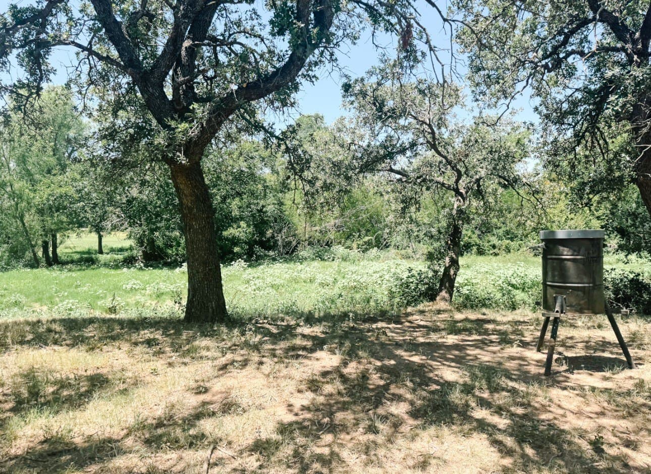 77.82 acres in Eastland County - photo 33