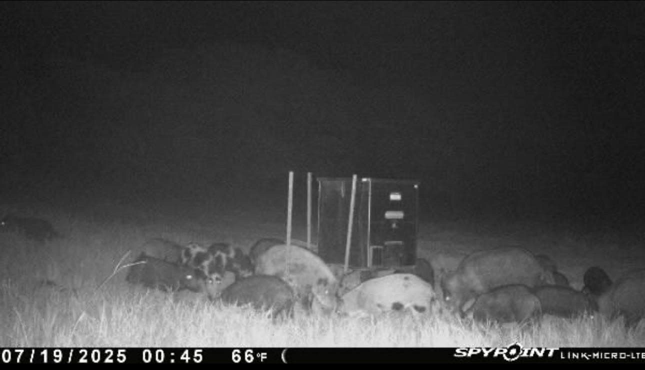 77.82 acres in Eastland County - photo 24