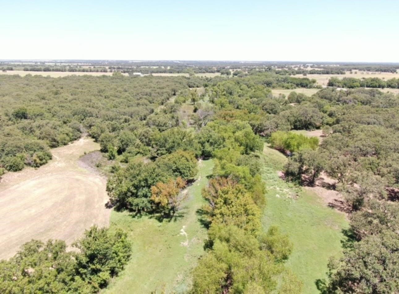 77.82 acres in Eastland County - photo 5